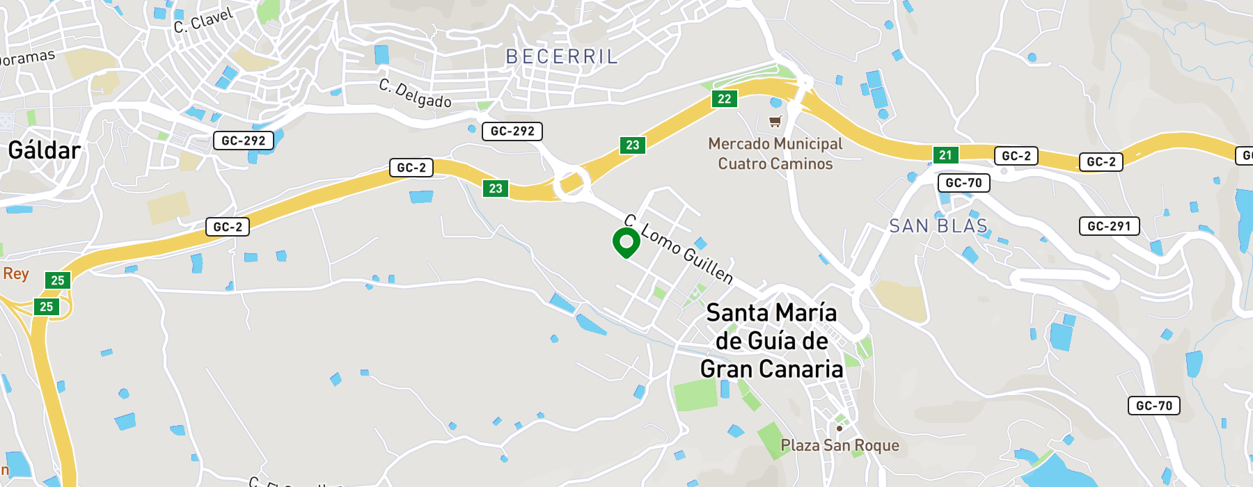 calle-lomo-guillen-21-35450-guia-las-palmas map