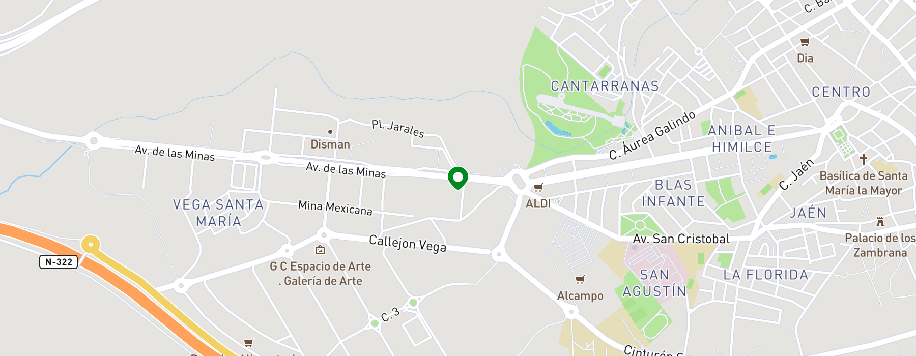 poligono-industrial-los-jarales-avenida-de-las-minas-sn map